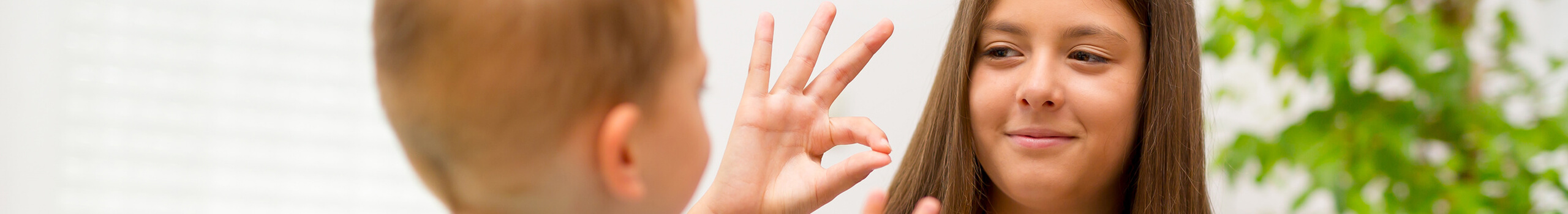 Sign Language Hands